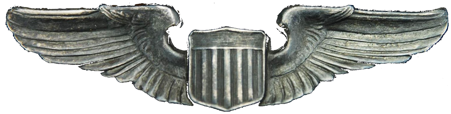 combat infantryman badge