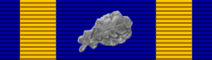  Air Medal with 6 Oak Leaf Clusters