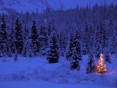 Photo de Noel