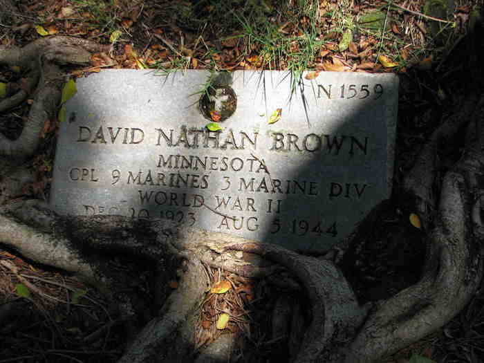 brown david n stele