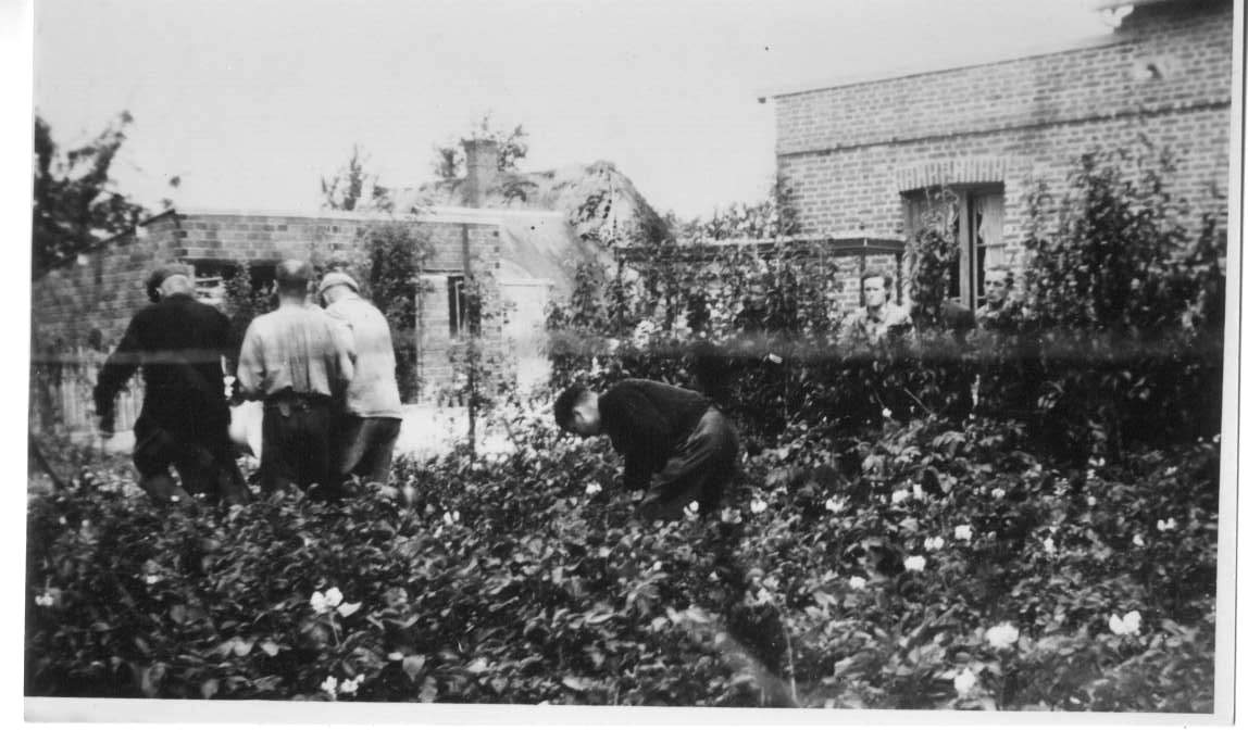 budnik jardin meslin