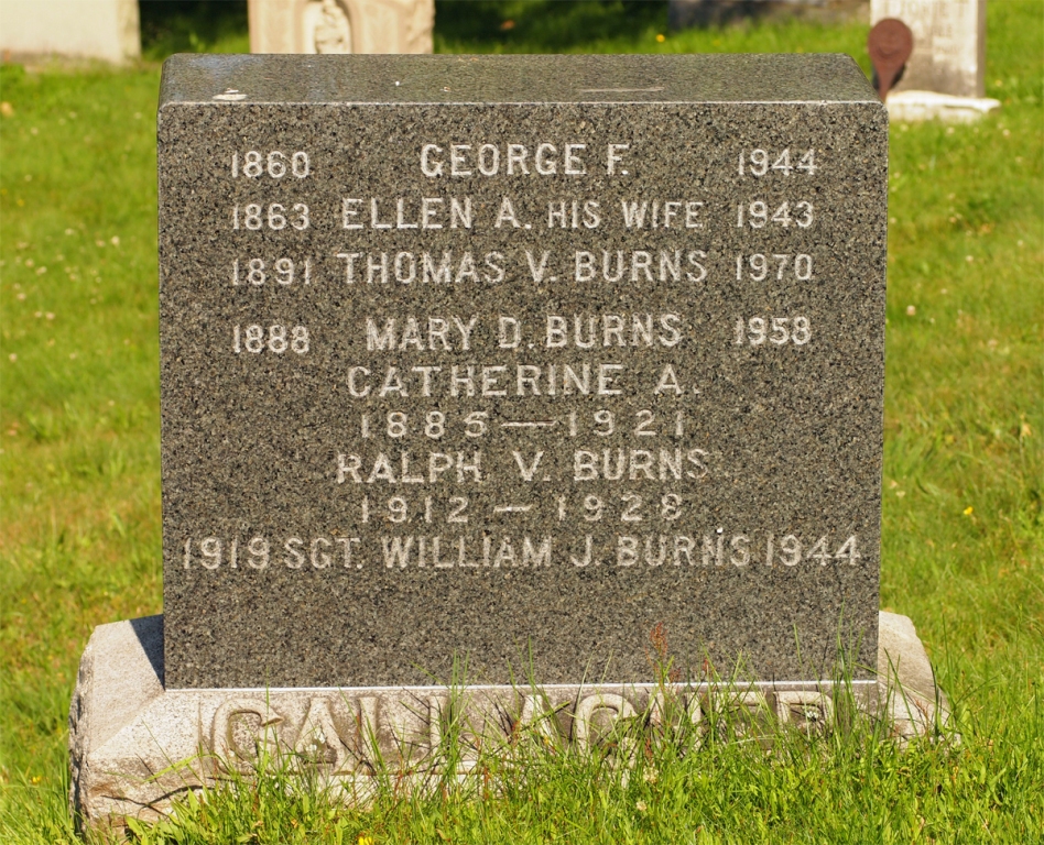 burns william j stele