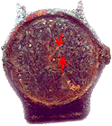 capelluto harold objet