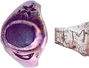 capelluto harold objet 1