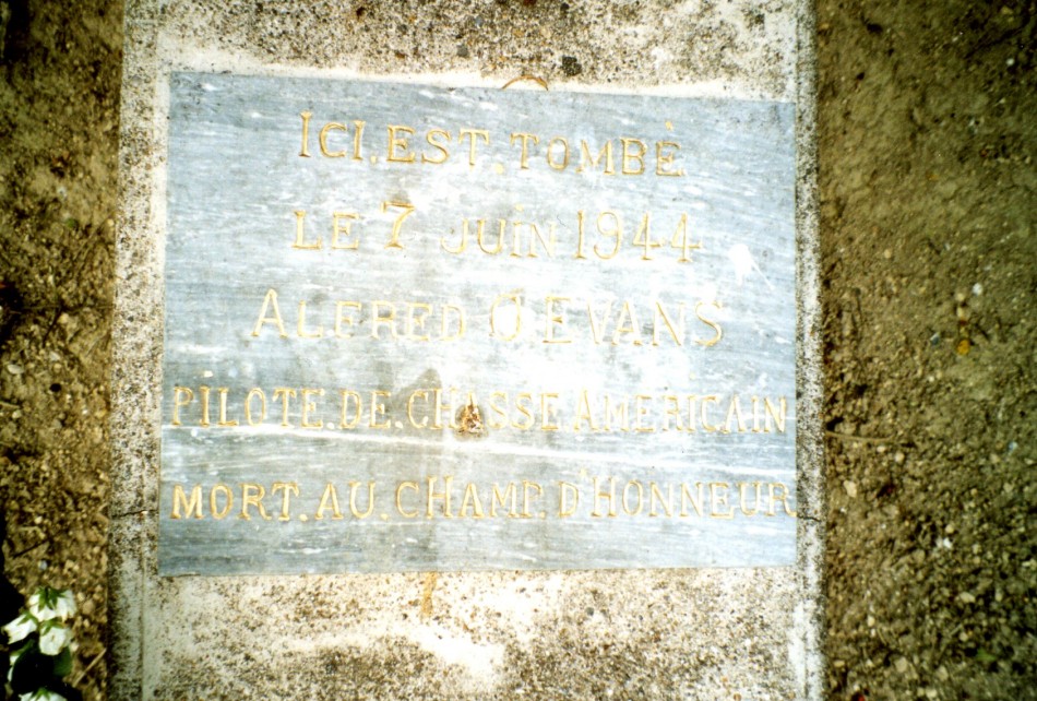 evans alfred d stele2