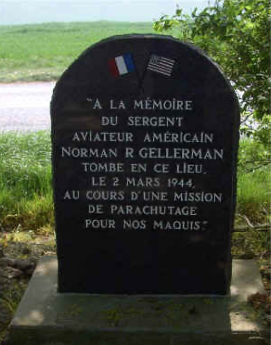 gellerman norman stele