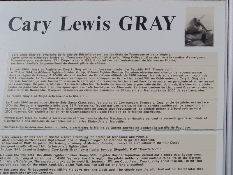 gray cary stele brix 2