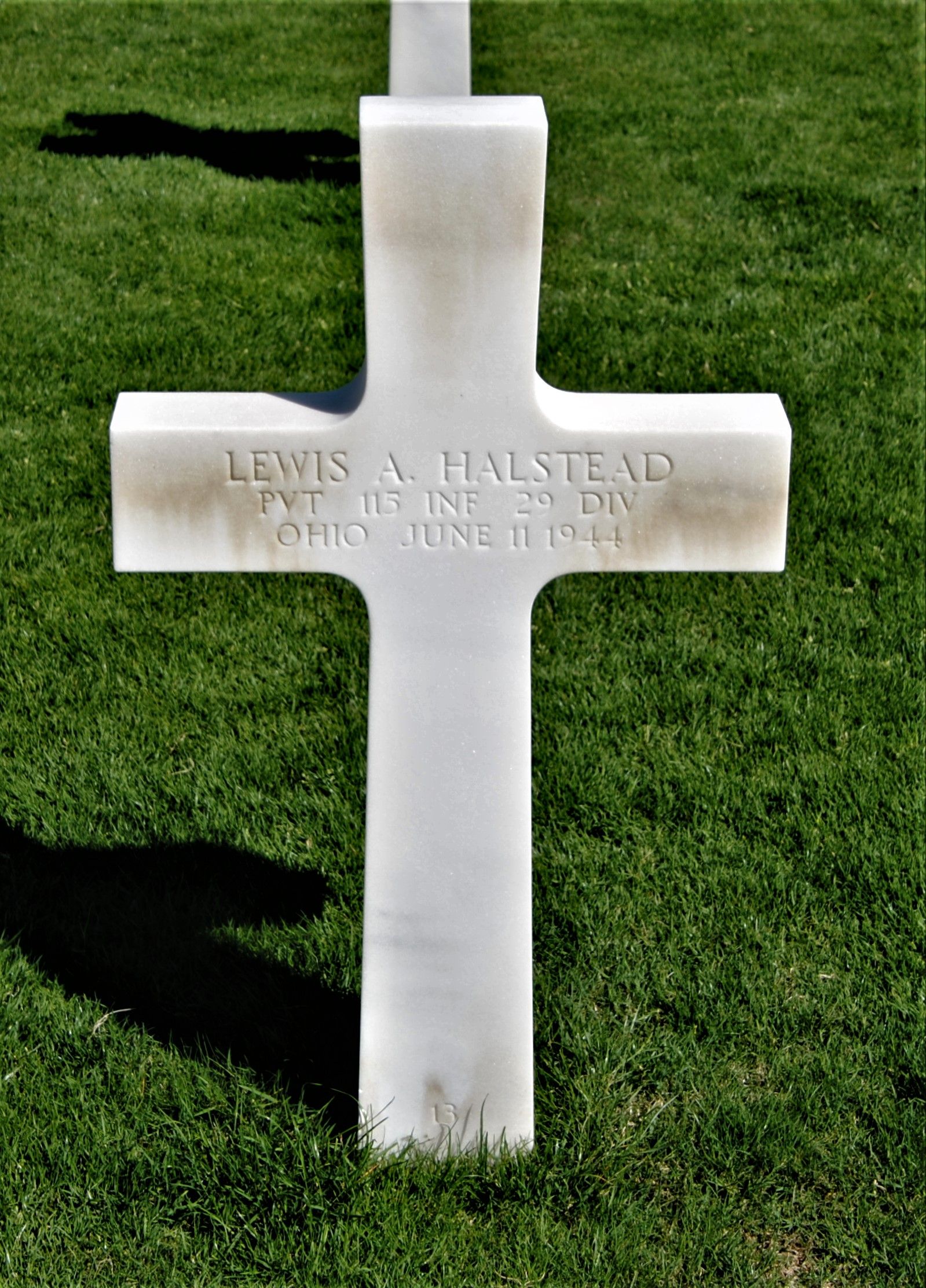HALSTEAD Lewis A - 115 IR 29 ID