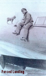 hamilton augustus 1