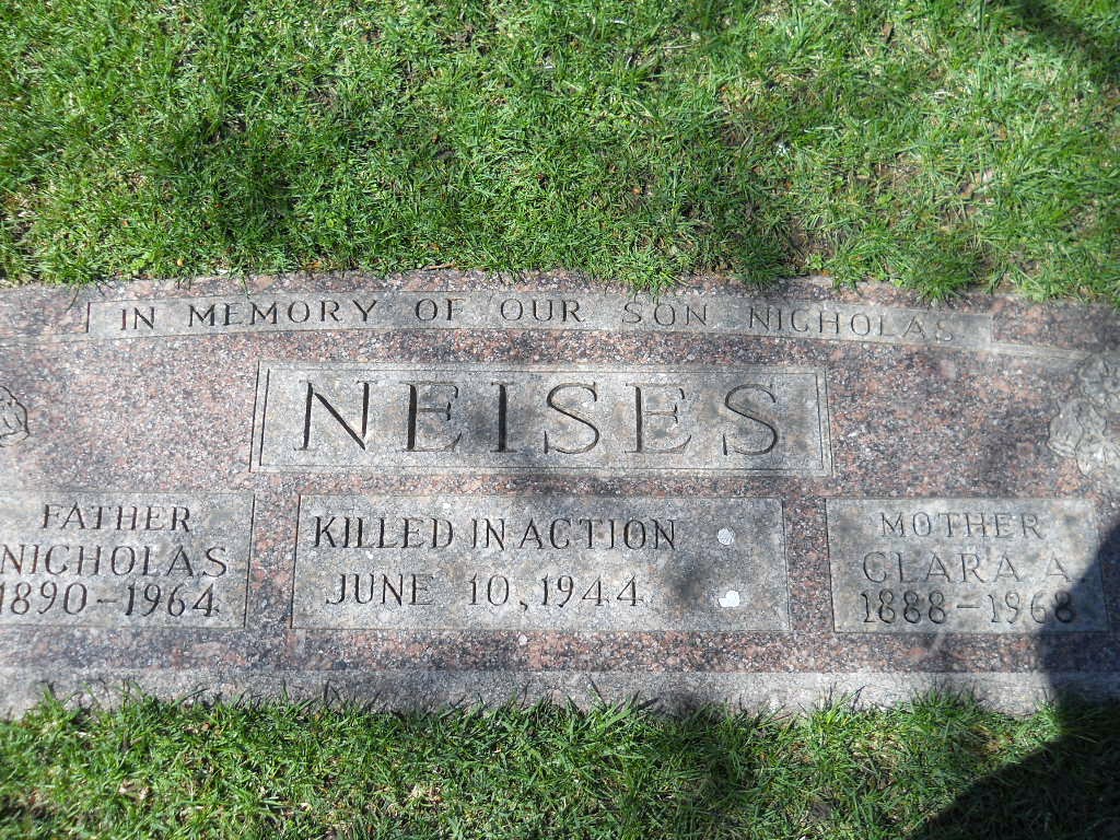 neises nicholas j stele