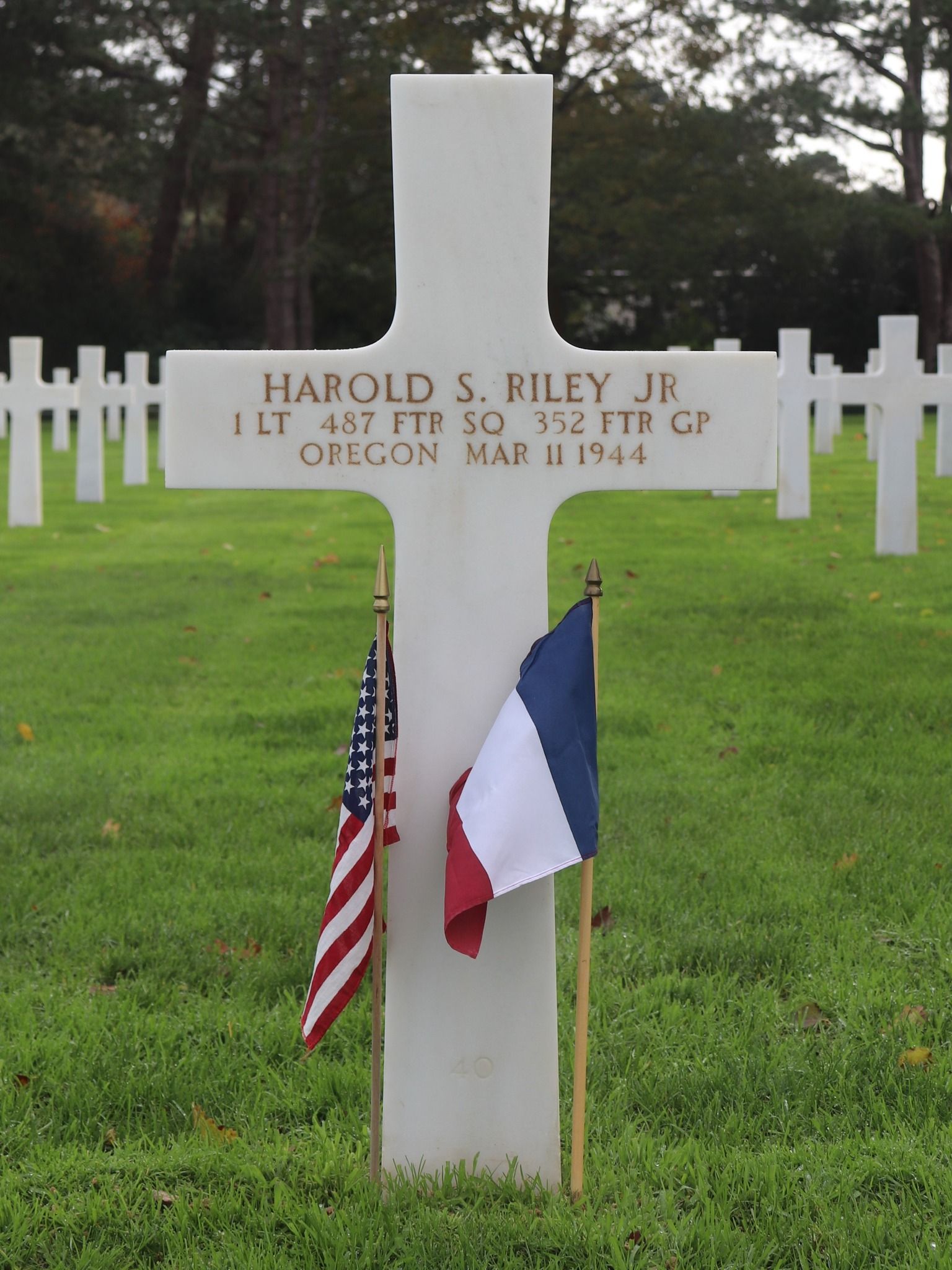 riley harold s