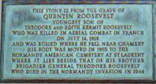roosevelt theodore
