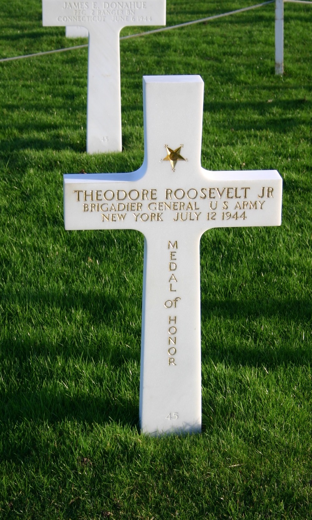 roosevelt theodore