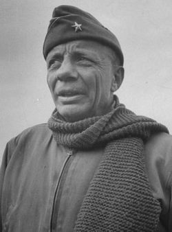 roosevelt theodore