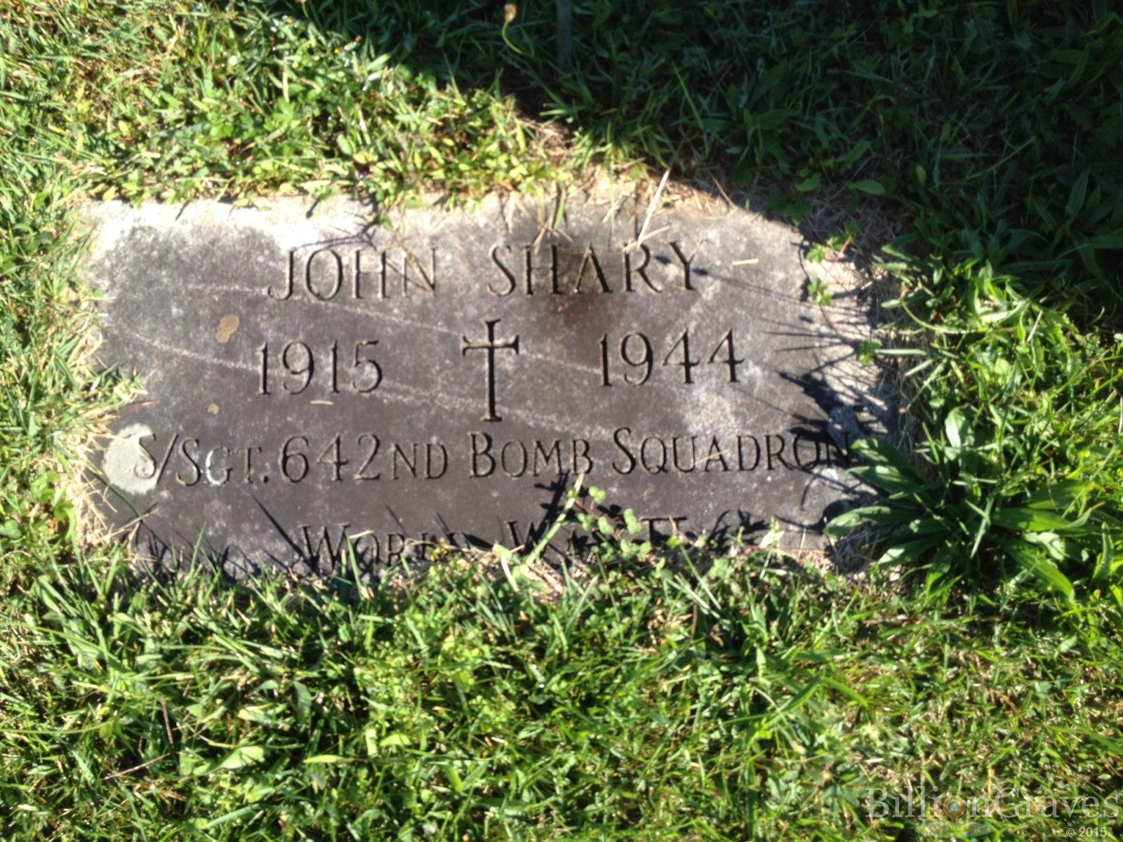 shary john stele