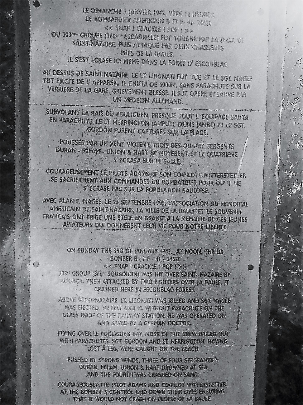 41 24620 stele 1
