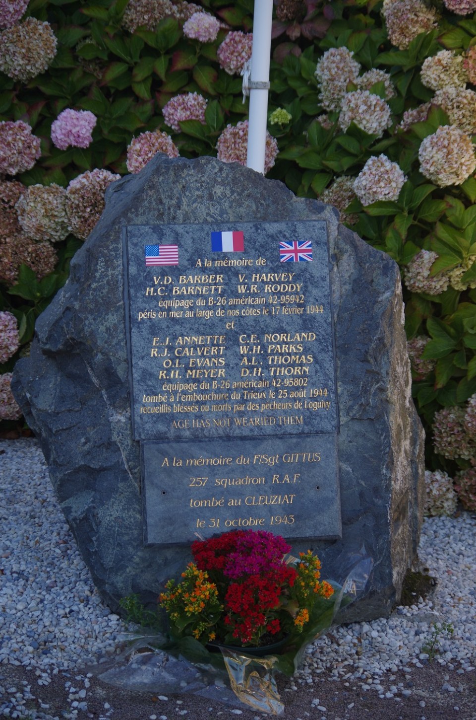 42 95802 stele1