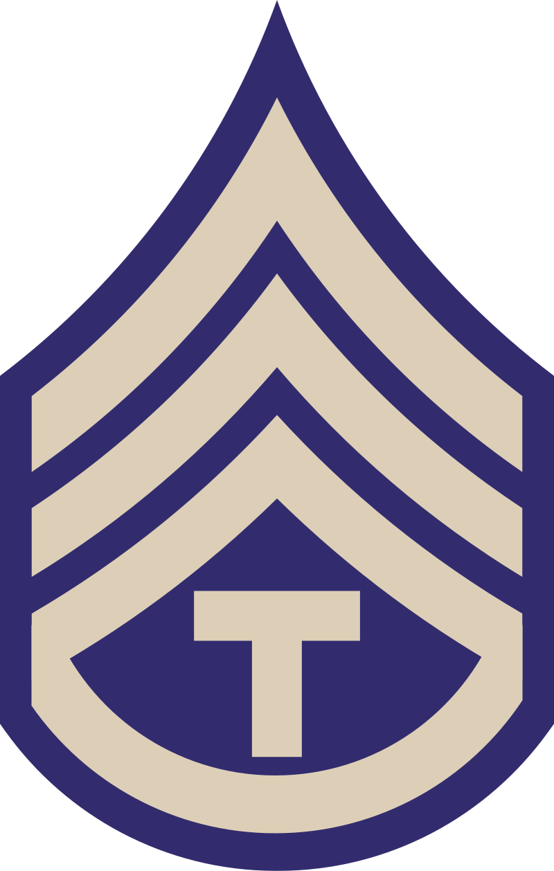 tech 3 grade