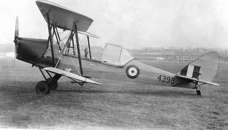 Tiger Moth