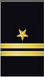 lieutenant