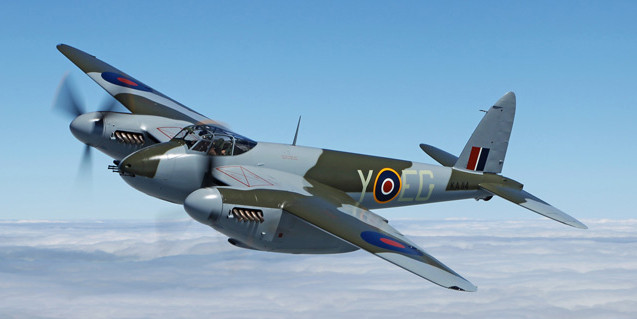 mosquito