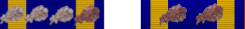 AM 20 OLC