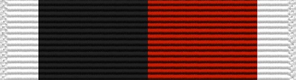 american campaign medal