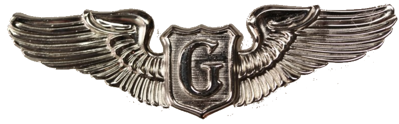 combat infantryman badge