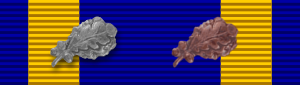 Air Medal with 7 Oak Leaf Cluster