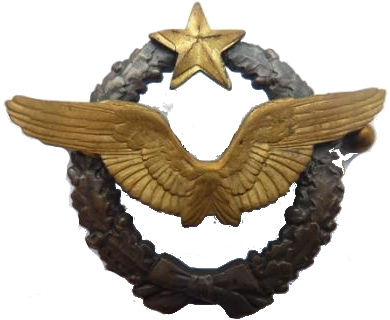 brevet_pilote_francais
