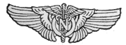 flight nurse
