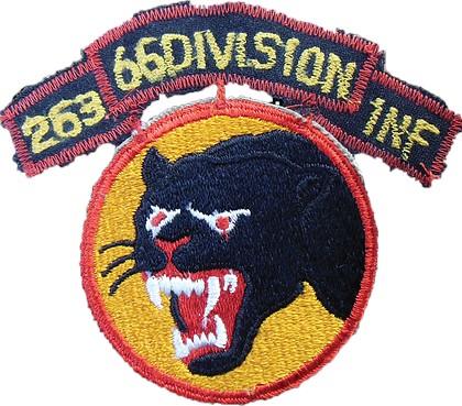 263ir