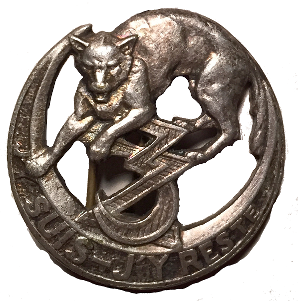 combat infantryman badge
