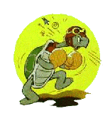 50ib