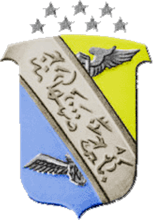 350th_Fighter_Group