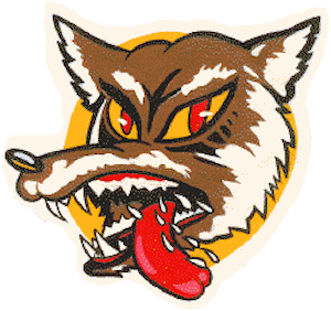 551st Bomber Squadron