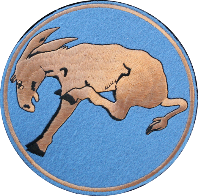 34th_Bomb_Squadron