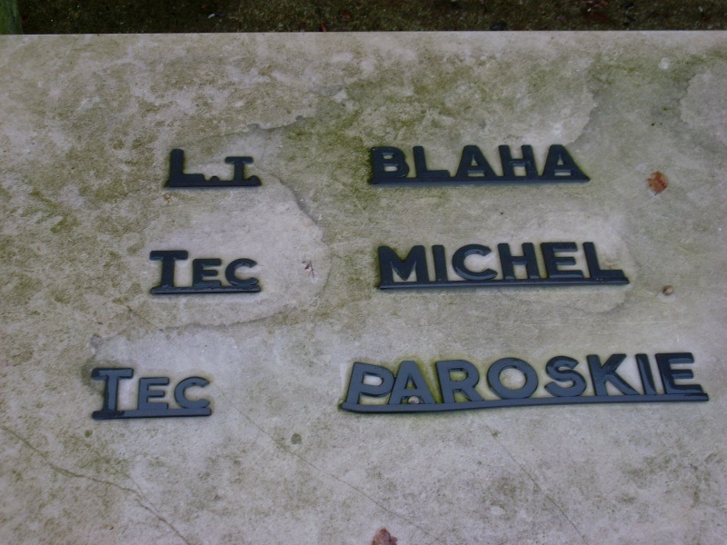 blaha richard j stele1
