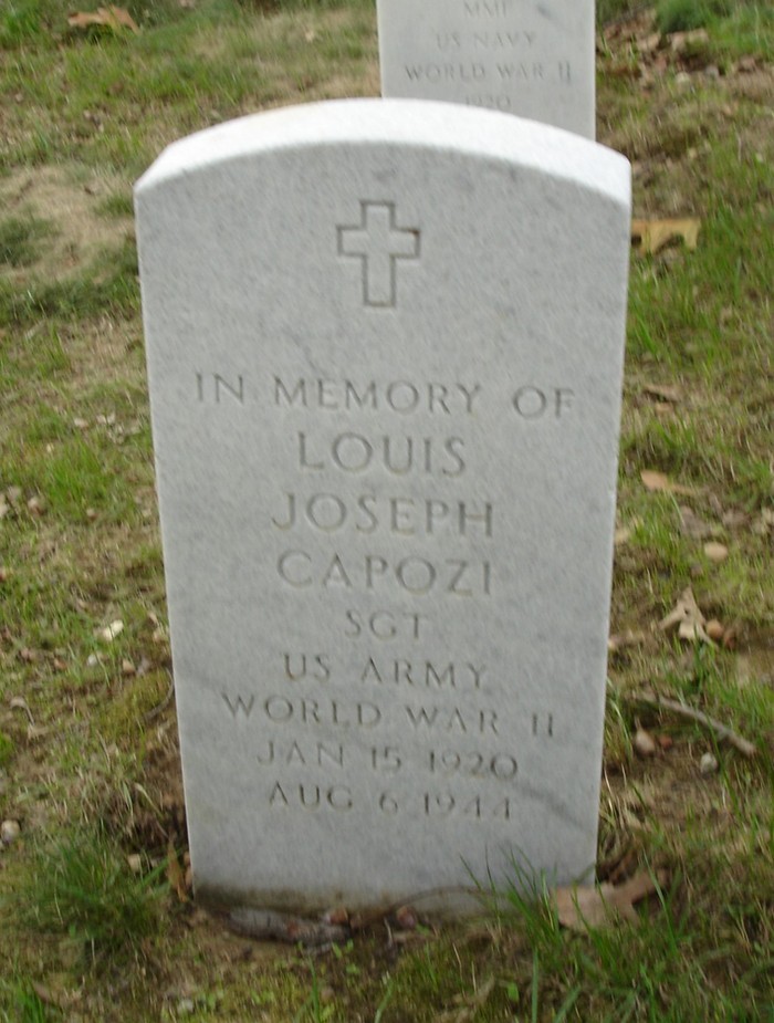 capozi louis j stele