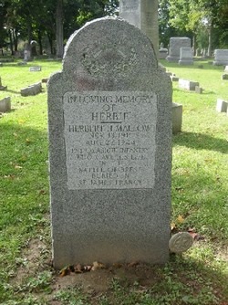 mallow herbert h stele