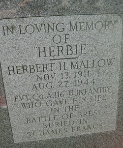 mallow herbert h stele1