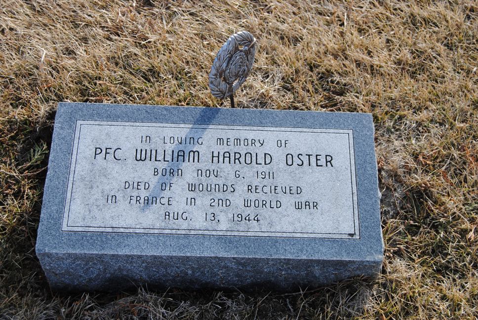 oster william h stele