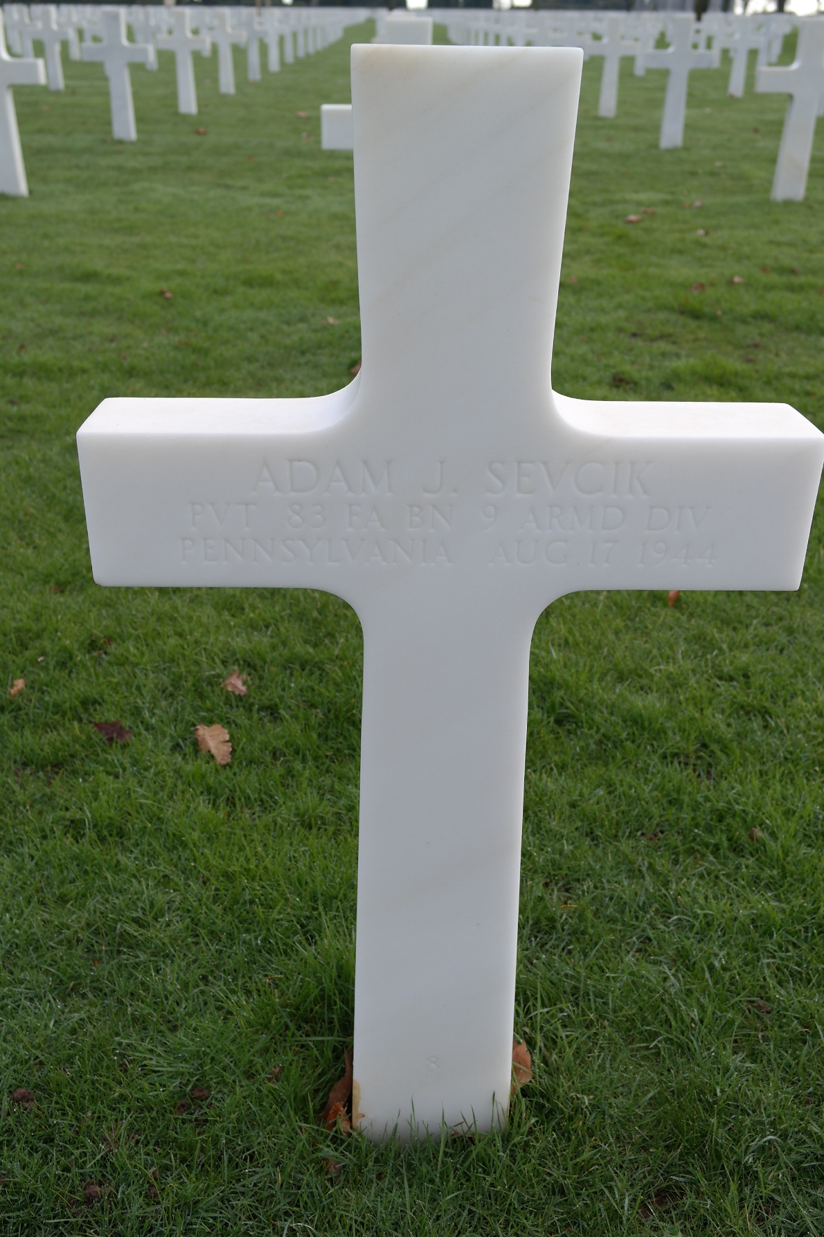 Adam J. Sevcik †